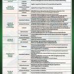 Jobs Advertisement HU ISB